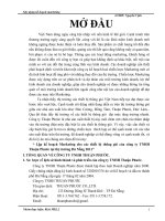 Lập kế hoạch chiến lược kinh doanh tại công ty TNHH Thuận Phước Đà Nẵng