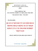 Quản lý rủi ro tỷ giá hối đoái trong hoạt động xuất nhập khẩu của doanh nghiệp VN