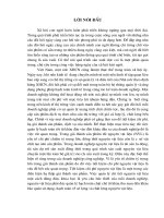 Hoàn thiện công tác kế toán NVL tại C.ty Cổ phần Hà Bắc