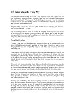 Để thâm nhập thị trường Mỹ