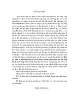 Đấu giá quốc tế, đấu thầu quốc tế và tác động của hai phương thức này với kinh doanh xuất nhập khẩu ở Việt nam