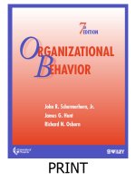 Organizational Behavior 