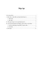 Luận văn:Làm gì để tránh sai lầm khi ra quyết định