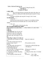 Giáo án mỹ thuật lớp 2