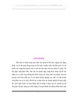 Đẩy mạnh hoạt động tiêu thụ sản phẩm trên thị trường nội địa của Công ty Sứ Thanh Trì