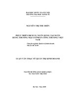 Phát triển dịch vụ ngân hàng tại ngân hàng thương mại cổ phần công thương việt nam