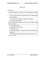 báo cáo thực tập tại Công ty Cổ Phần Chứng khoán Hoà Bình