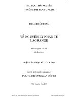 Về nguyên lý nhân tử LAGRANGE