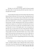 Một số giải pháp nhằm phát triển hoạt động kinh doanh lữ hành quốc tế .doc