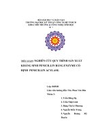Nghiên cứu quy trình sản xuất kháng sinh penicillin bằng enzyme cố định penicillin acylase