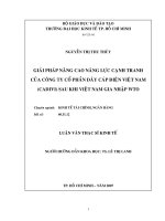 Giải pháp nâng cao năng lực cạnh tranh của công ty cổ phần dây cáp điện Việt Nam (CADIVI) sau khi Việt Nam gia nhập WTO
