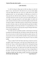 Hoàn thiện tổ chức hạch toán chi phí sản xuất và tính giá thành sản phẩm tại Công ty cổ phần VLXD Viên Châu