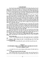 Thực trạng sản xuất và biện pháp đẩy mạnh xuất khẩu gạo ra thị trường thế giới