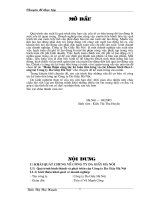 Hoàn thiện công tác kế toán tiền lương và các khoản trích theo lương tại Cty Da Giầy Hà Nội