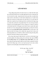 thực tập tại Công ty cổ phần đầu tư và thương mại Sinh Phúc