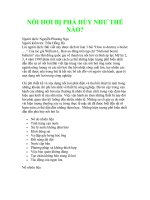 Hiện tượng phá hủy nội hơi