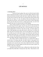 Phân tích hiệu quả sử dụng vốn tại Công ty cổ phần Petec Bình Định