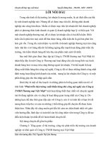 Phát triển thị trường xuất khẩu hàng thủ công mỹ nghệ của Công ty TNHH Thương mại Việt Nhật