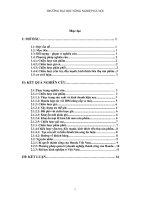 Chiến lược marketing của công ty xe máy Honda Việt Nam .doc