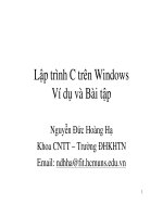 Lập trình C  Windows 11_Ví  dụ - bài tập