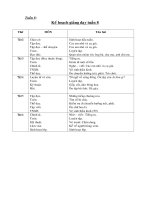 Tài liệu Giáo án môn Tiếng Việt tuần 8