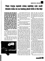 Thực trạng ngành công nghiệp sản xuất khuôn mẫu và xu hướng phát triển ở Hà Nội