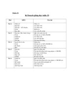 Tài liệu Giáo án môn Tiếng Việt tuần 33