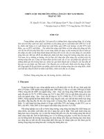 chiến lược thị trường nông lâm sản viêt nam