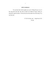 Giải pháp nâng cao hiệu quả hoạt động Marketing cho khách sạn Parkroyal Saigo phần 2