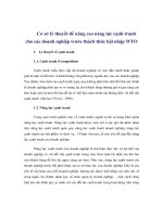 Cơ sở lý thuyết để nâng cao năng lực cạnh tranh cho các doanh nghiệp trước thách thức hội nhập WTO