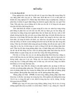 Luận văn thạc sỹ -Khoa học tự nhiên