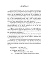 Thực trang hoạt động marketing của công ty cổ phần thương hiệu việt