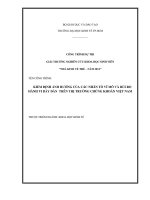 Kiểm định ảnh hưởng của các nhân tố vĩ mô và rủi ro hành vi bầy đàn trên TTCK .pdf