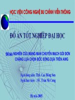 Nghiên cứu mạng man chuyển mạch gói đơn chặng lựa chọn bước sóng dựa trên AWG
