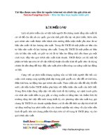 Luận văn Kế toán tiêu thụ thành phẩm và xác định kết quả kinh doanh.doc