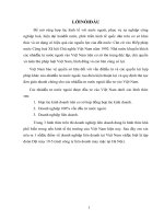 Một số đặc điểm về doanh nghiệp liên doanh tại Việt Nam