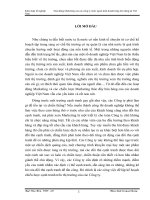 Hoạt động Marketing của các công ty nước ngoài kinh doanh hàng tiêu dùng tại Việt Nam