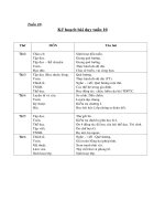 Tài liệu Giáo án môn Tiếng Việt tuần 10