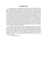 Hoàn thiện công tác KT nhập khẩu hàng hoá, tiêu thụ và xác định KQ tiêu thụ hàng NP tại công ty TNHH TM & ĐT âu châu