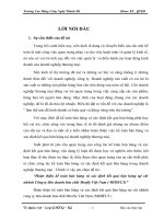 Hoàn thiện kế toán bán hàng và xác định kết quả bán hàng tại chi nhánh công ty liên doanh hoá chất Mosfly Việt Nam