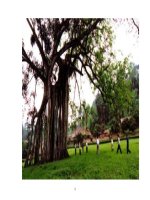 Luận văn Xây dưng thương hiệu sản phẩm Cam sành Hàm Yên