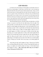 Một số biện pháp nhằm nâng cao lợi nhuận ở Công ty Thương mại Việt Phát Triển