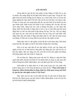 Phát triển kinh tế Hàng hóa nhiều thành phần là đường chiến lược nhất quan trọng suốt thời kỳ quá độ lên CNXH ở Việt Nam