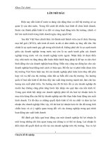 Biện pháp tăng lợi nhuận tại công ty Trách nhiệm hũu hạn Sắc Màu