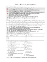 Đề thi giữa kỳ môn Nguyên Lý Thống Kê - Đề 1