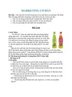 Chiến lược marketing đối với trà xanh có ga Ikun của tân hiệp phát 1