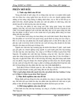 Một số giải pháp nhằm đẩy mạnh tiêu thụ sản phẩm tấm lợp Amiăng ở công ty Cổ Phần Cơ Điện Luyện Kim Thái Nguyên 2011