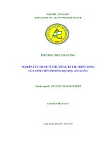 Nghiên cứu hành vi tiêu dùng bút bi Thiên long của sinh viên truờng Đại Học An Giang