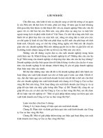 Một số giải pháp nhằm nâng cao hiệu quả SX KD của Công ty Cao su Sao vàng Hà Nội