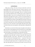 khả năng vận dụng mô hình công ty mẹ _ công ty con ở Việt Nam